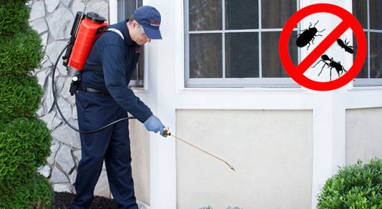 Ekinözü Karınca İlaçlama böcek ilaçlama ve haşere kontrolü — ilaclama-tr.com